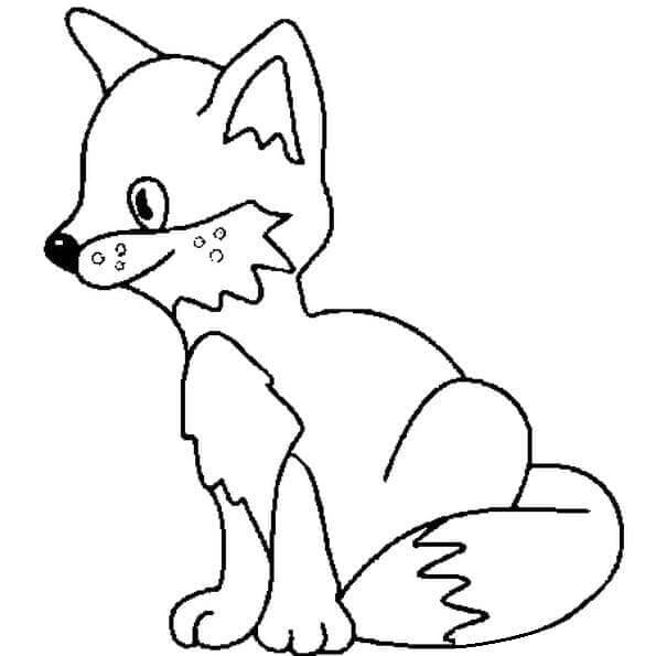 Desenho de Raposas para imprimir