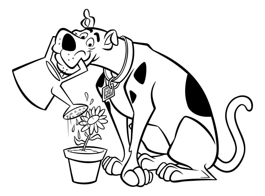Desenho de Scooby-Doo para imprimir