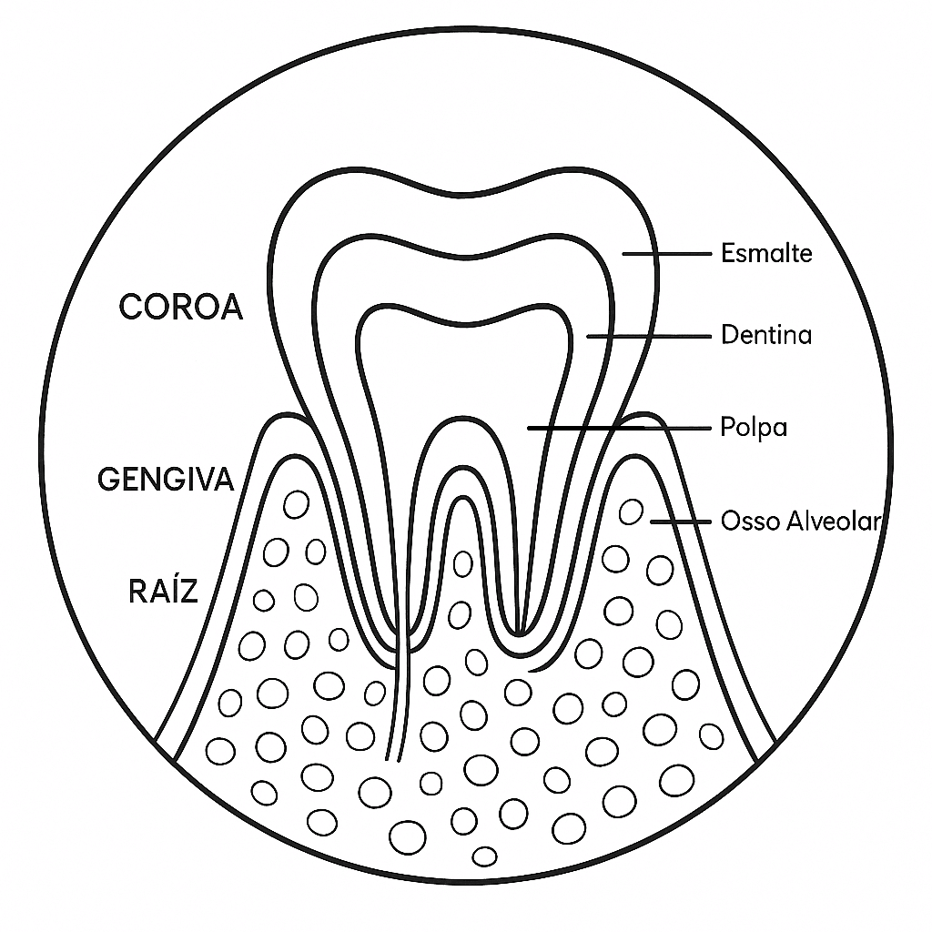 Desenho de Dentes para imprimir