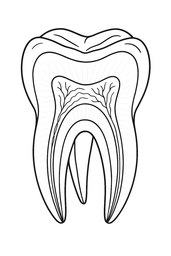 Desenho de Dentes para imprimir