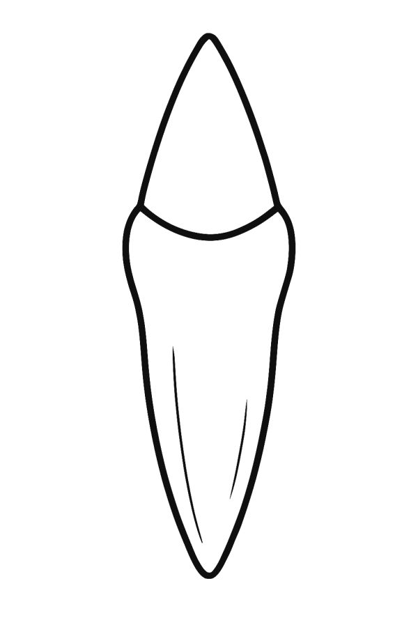 Desenho de Dentes para imprimir