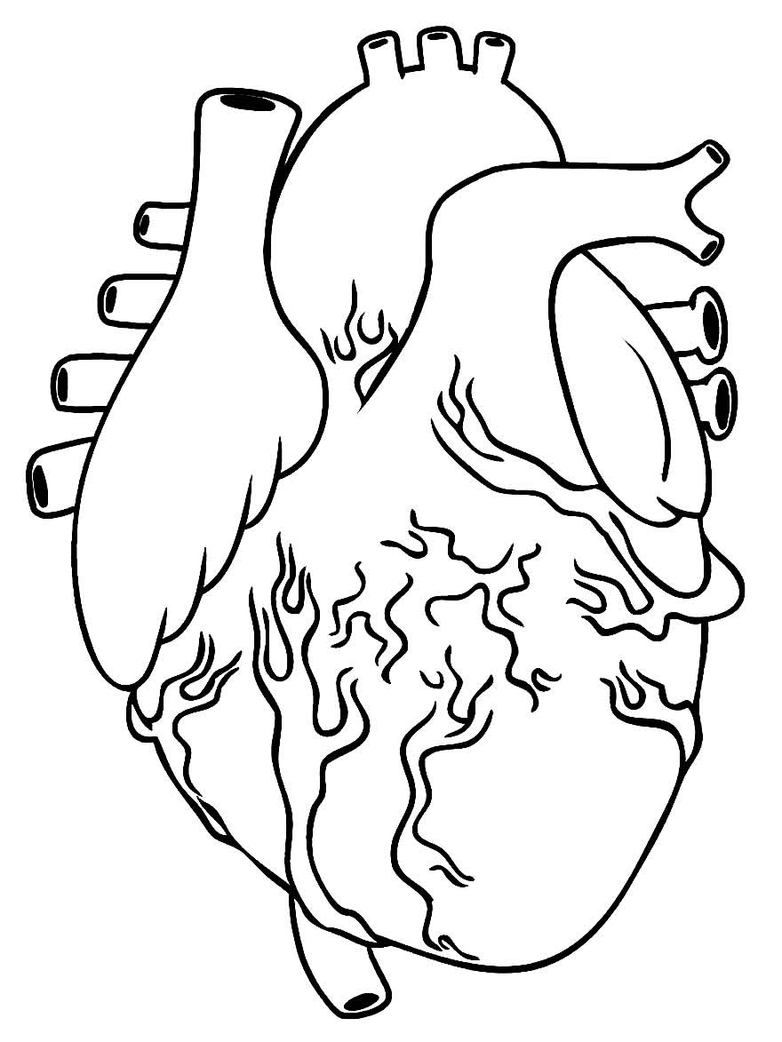 Desenho de Coração para imprimir