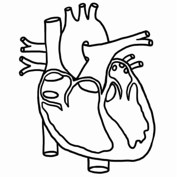 Desenho de Coração para imprimir