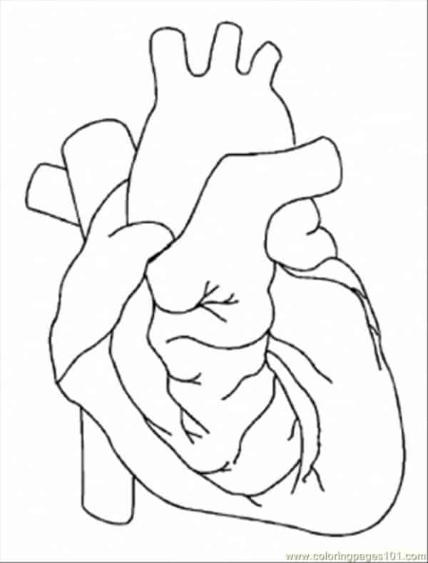 Desenho de Coração para imprimir