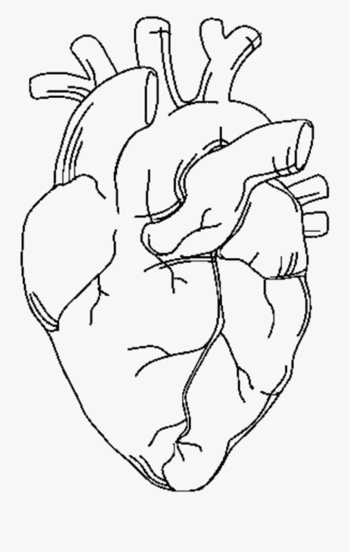Desenho de Coração para imprimir