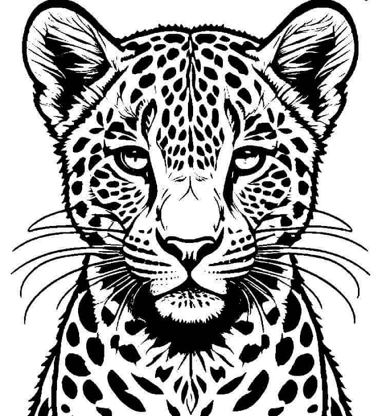 Desenho de Onças Pintadas para imprimir