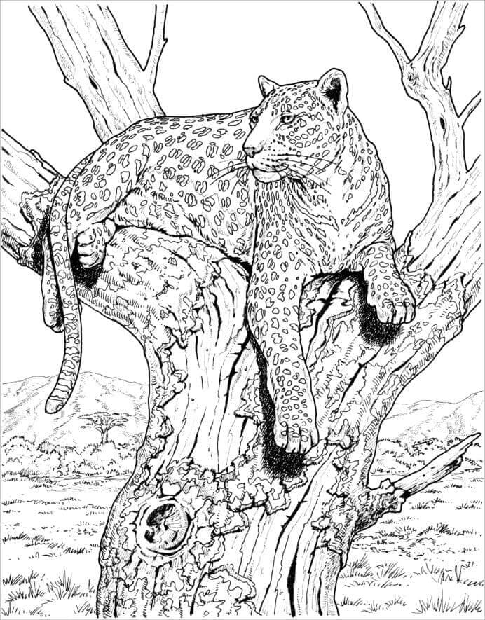 Desenho de Onças Pintadas para imprimir