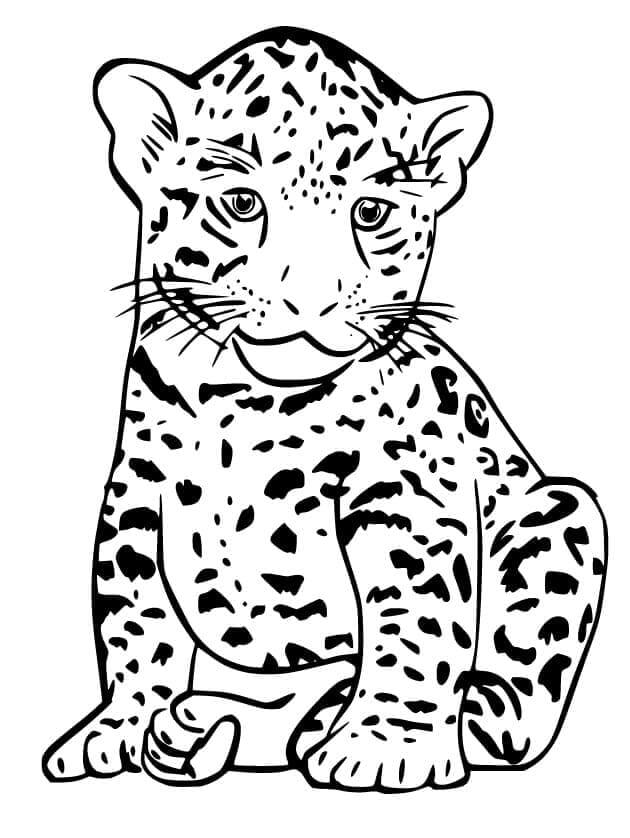 Desenho de Onças Pintadas para imprimir