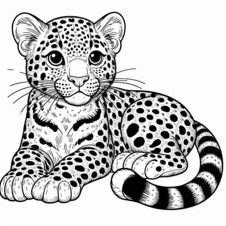 Desenho de Onças Pintadas para imprimir