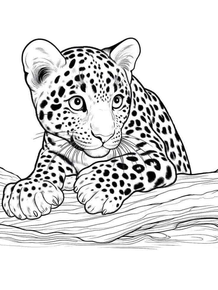 Desenho de Onças Pintadas para imprimir