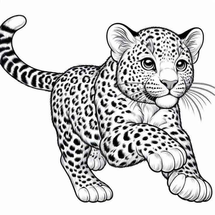 Desenho de Onças Pintadas para imprimir