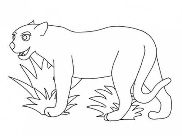 Desenho de Onças Pintadas para imprimir