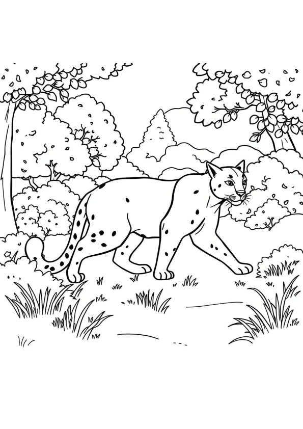 Desenho de Onças Pintadas para imprimir