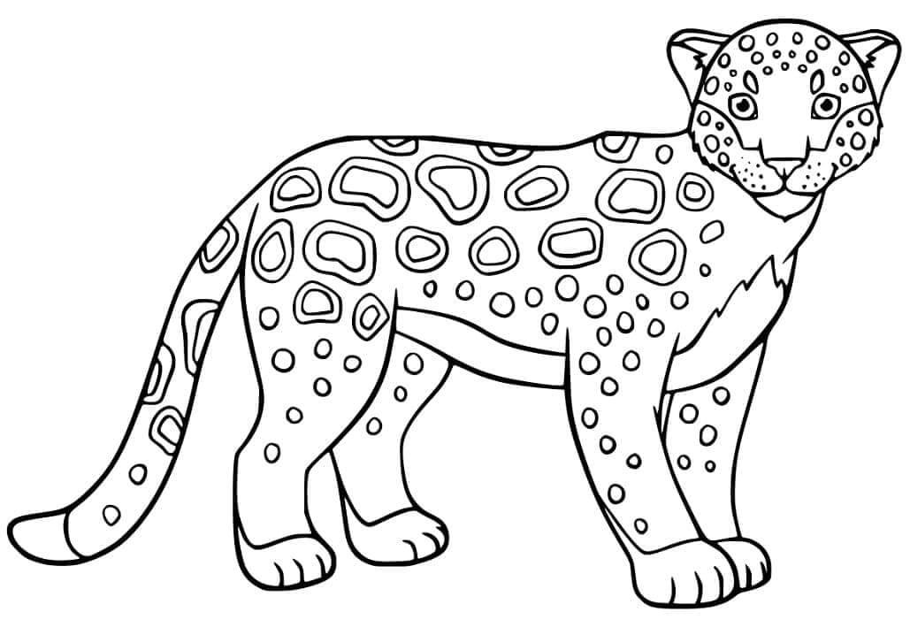 Desenho de Onças Pintadas para imprimir