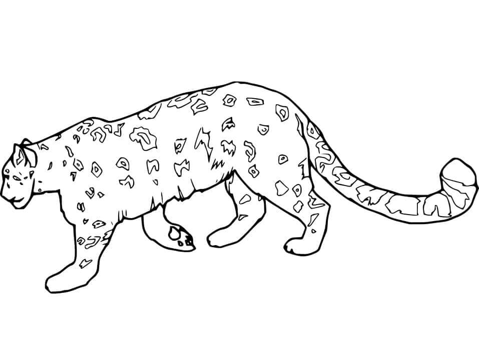 Desenho de Onças Pintadas para imprimir