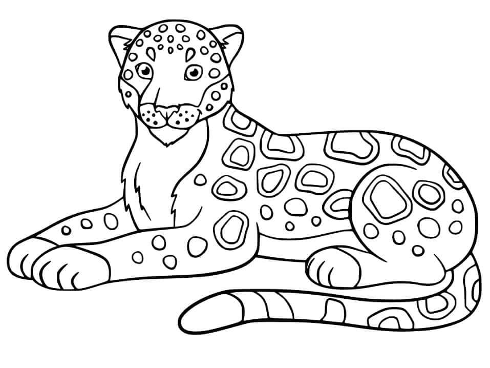 Desenho de Onças Pintadas para imprimir