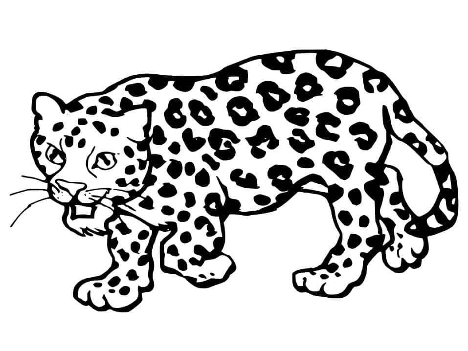 Desenho de Onças Pintadas para imprimir