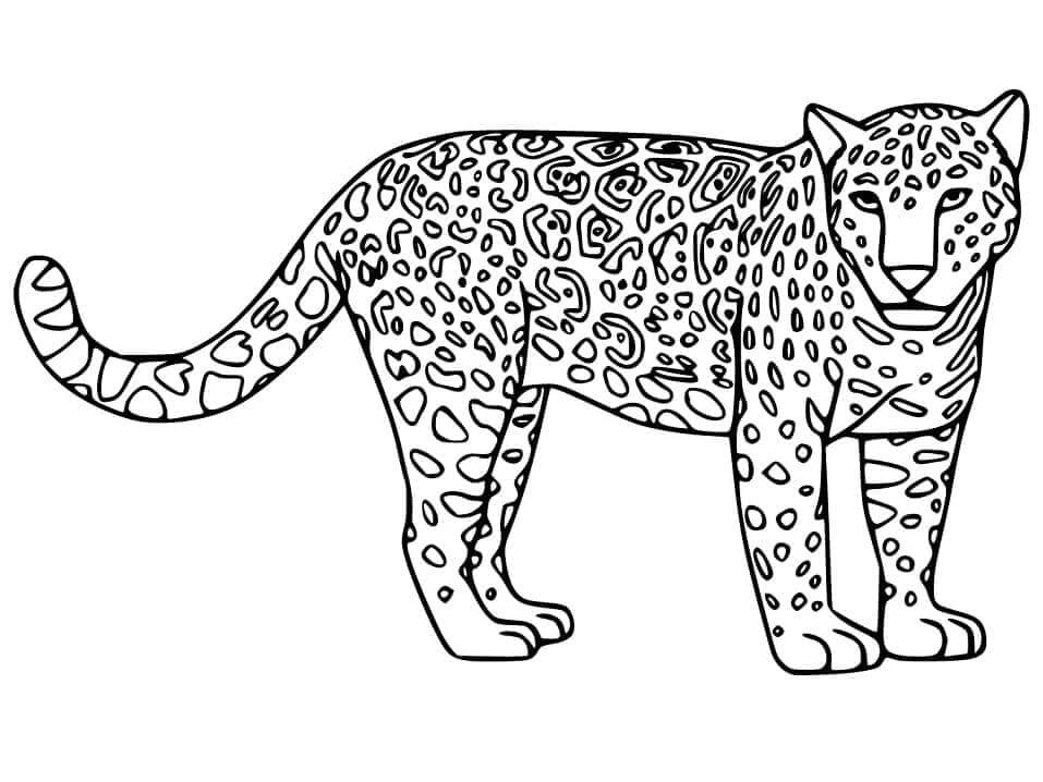 Desenho de Onças Pintadas para imprimir