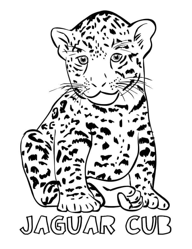 Desenho de Onças Pintadas para imprimir