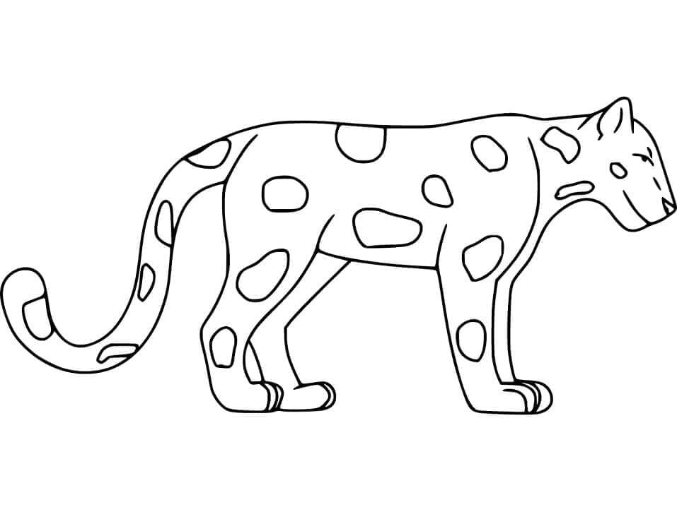 Desenho de Onças Pintadas para imprimir