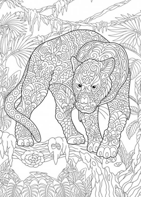 Desenho de Onças Pintadas para imprimir