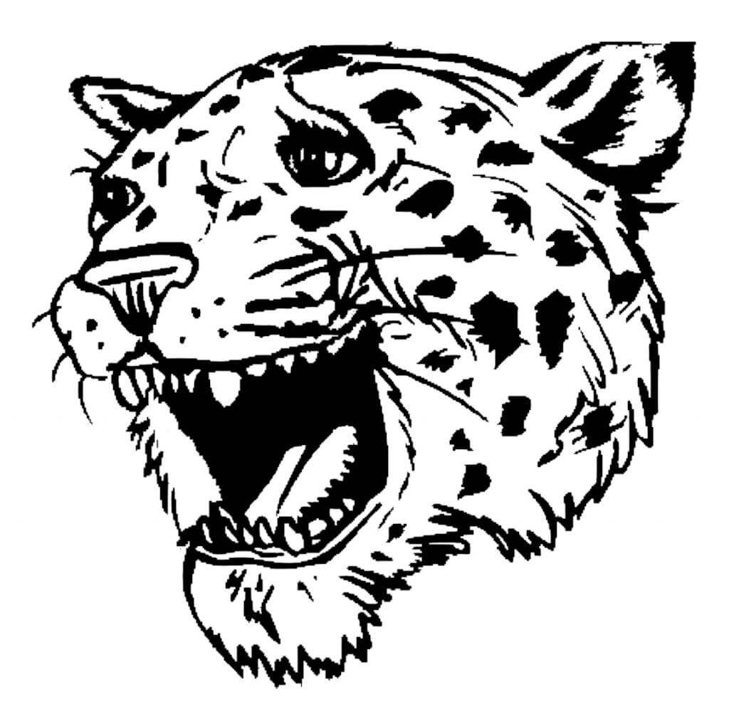 Desenho de Onças Pintadas para imprimir