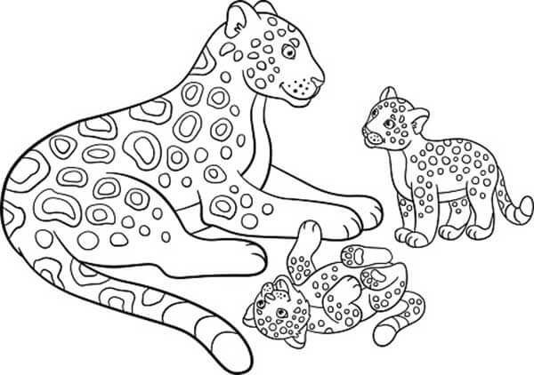 Desenho de Onças Pintadas para imprimir