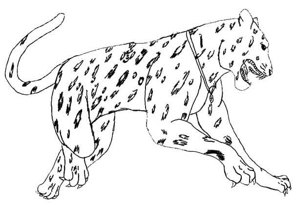 Desenho de Onças Pintadas para imprimir