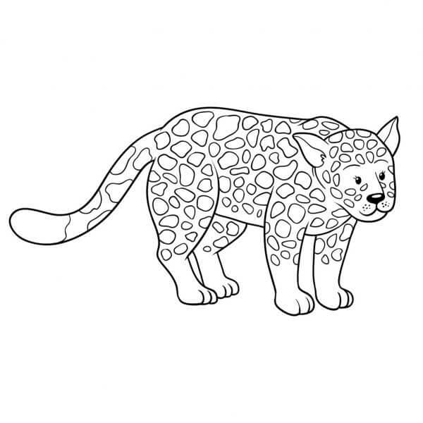 Desenho de Onças Pintadas para imprimir