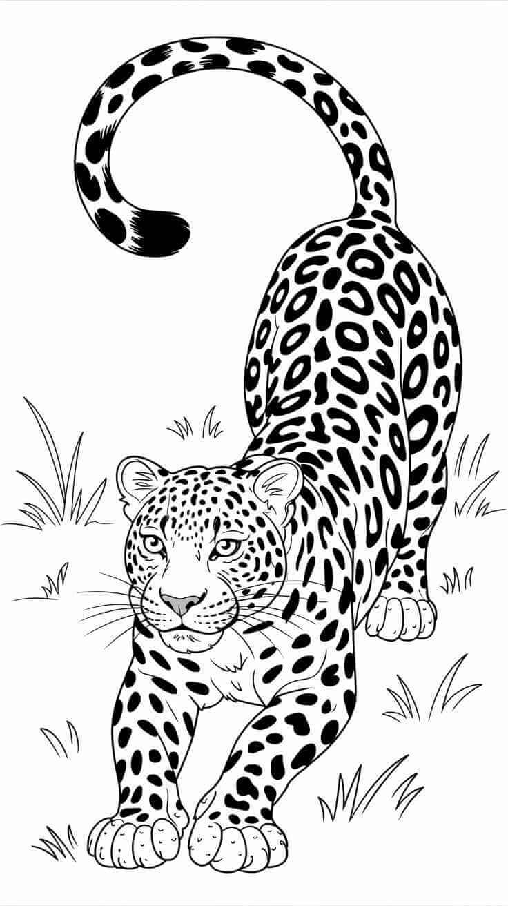 Desenho de Onças Pintadas para imprimir