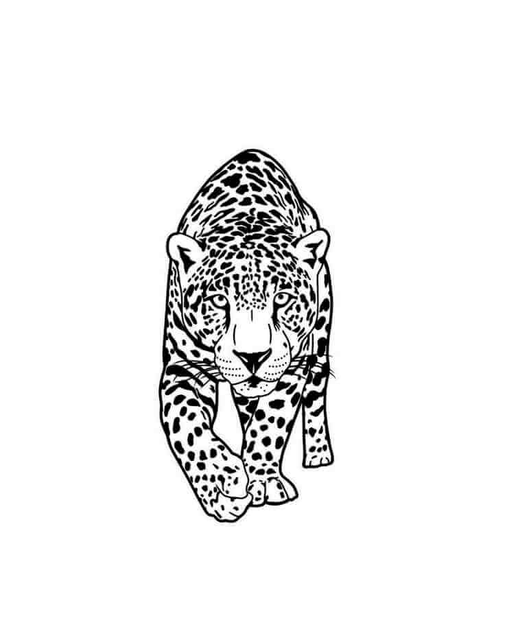 Desenho de Onças Pintadas para imprimir