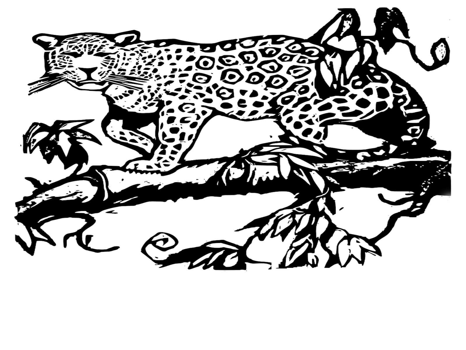 Desenho de Onças Pintadas para imprimir