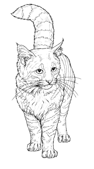 Desenho de Onças Pintadas para imprimir