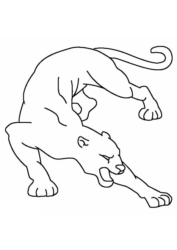 Desenho de Onças Pintadas para imprimir