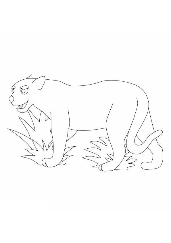 Desenho de Onças Pintadas para imprimir