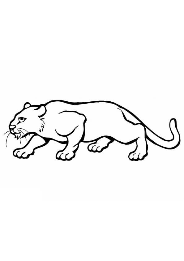Desenho de Onças Pintadas para imprimir