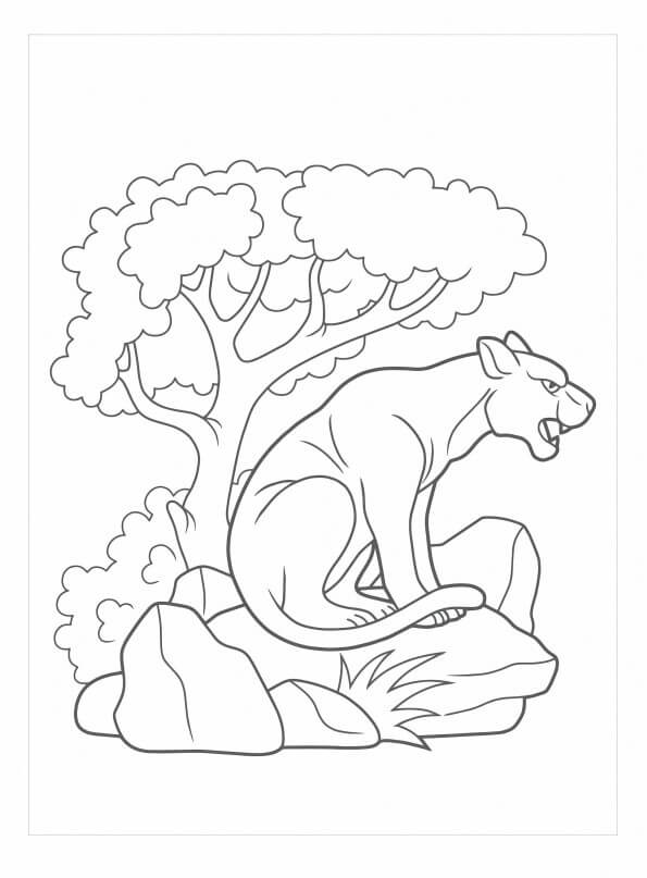 Desenho de Onças Pintadas para imprimir